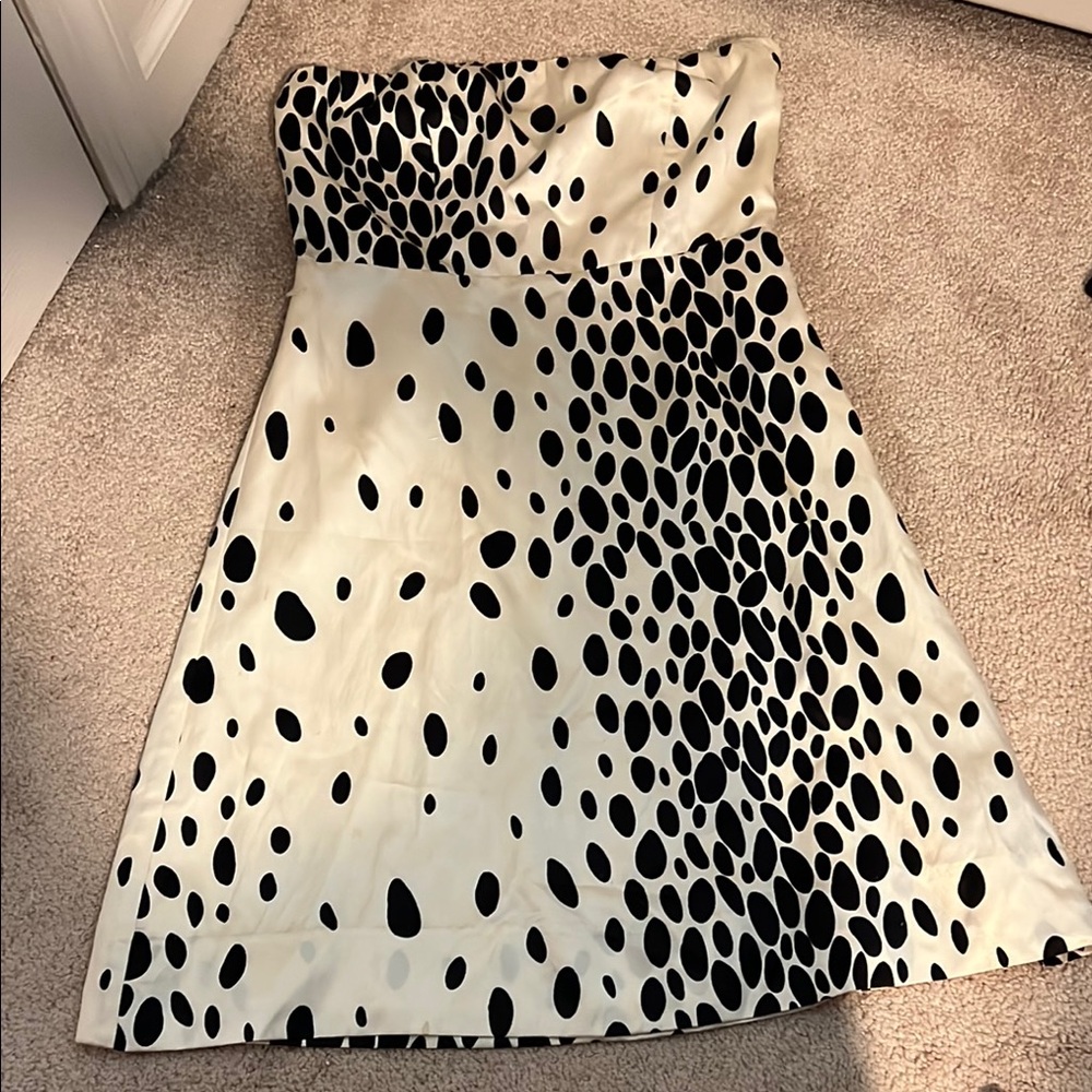 The Limited Asymmetrical A-line Black and White Cocktail Dress